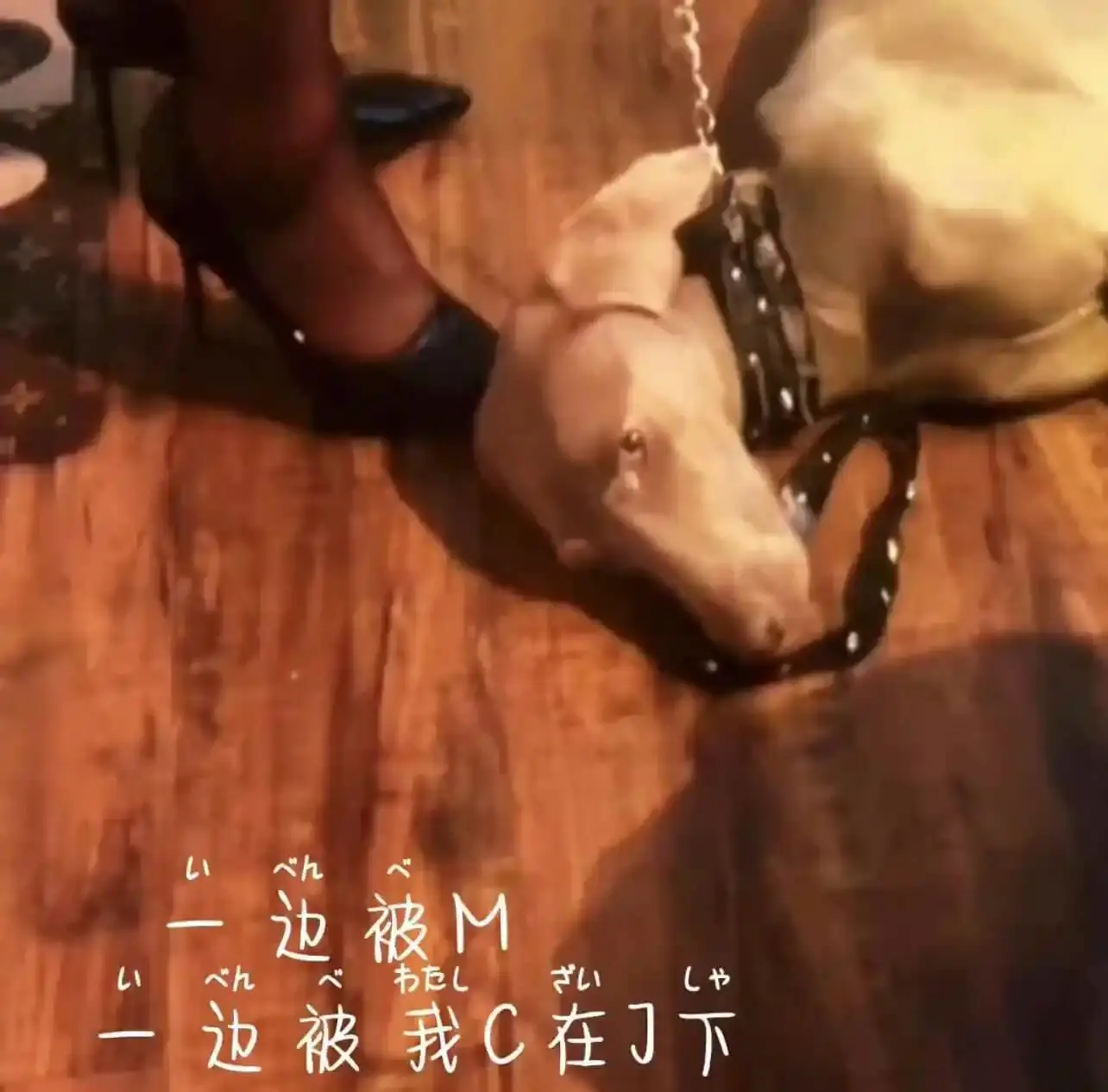 M倾向 - 2023_11_07_20_50_IMG_8911