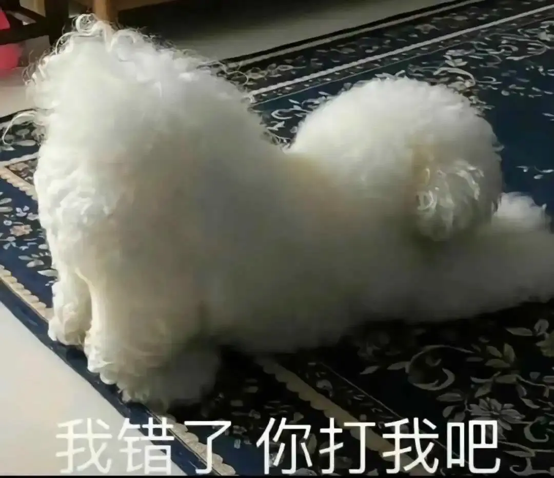女王 - 2023_12_05_21_26_IMG_9543