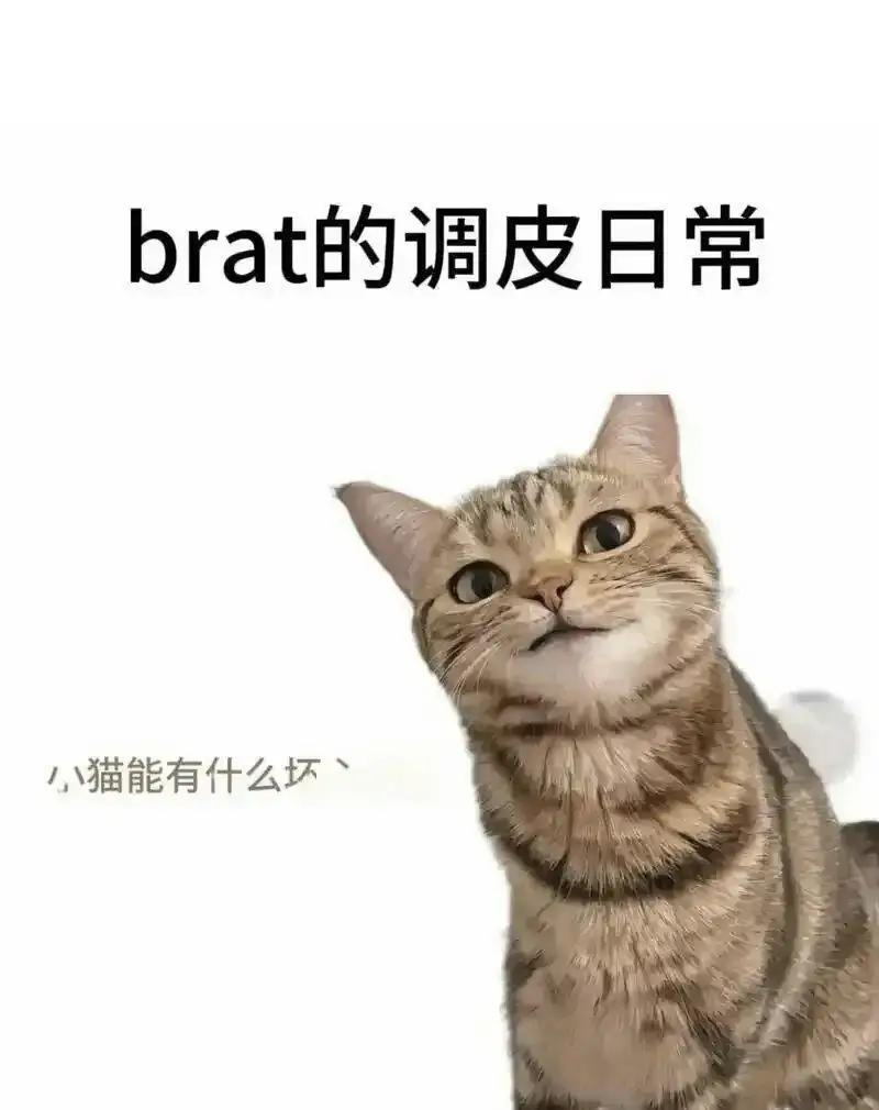 西檬之家-斯慕圈新人入圈指南：从基础术语到安全实践