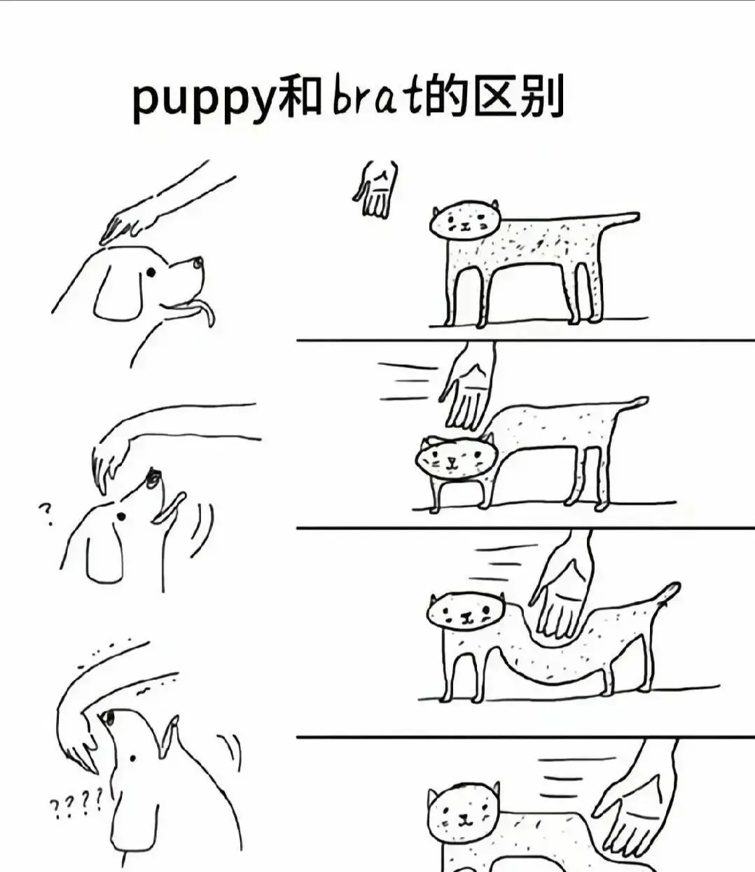 西檬之家-字母圈新人如何入门？BDSM基础术语与安全原则指南