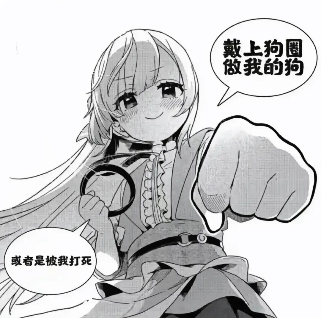 西檬之家-字母圈的S是什么意思？