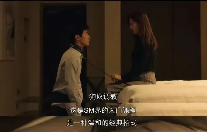西檬之家-新人如何快速了解字母圈？核心术语解析与入圈指南