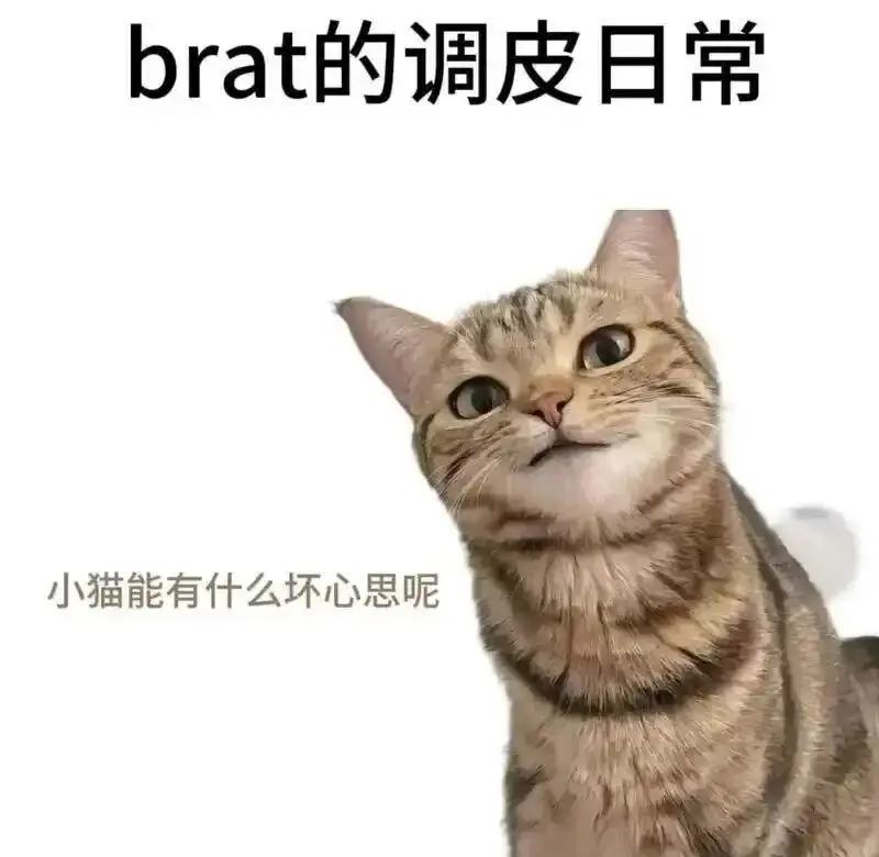 Ddlg是什么 - 微信图片_20251203212836_109_19