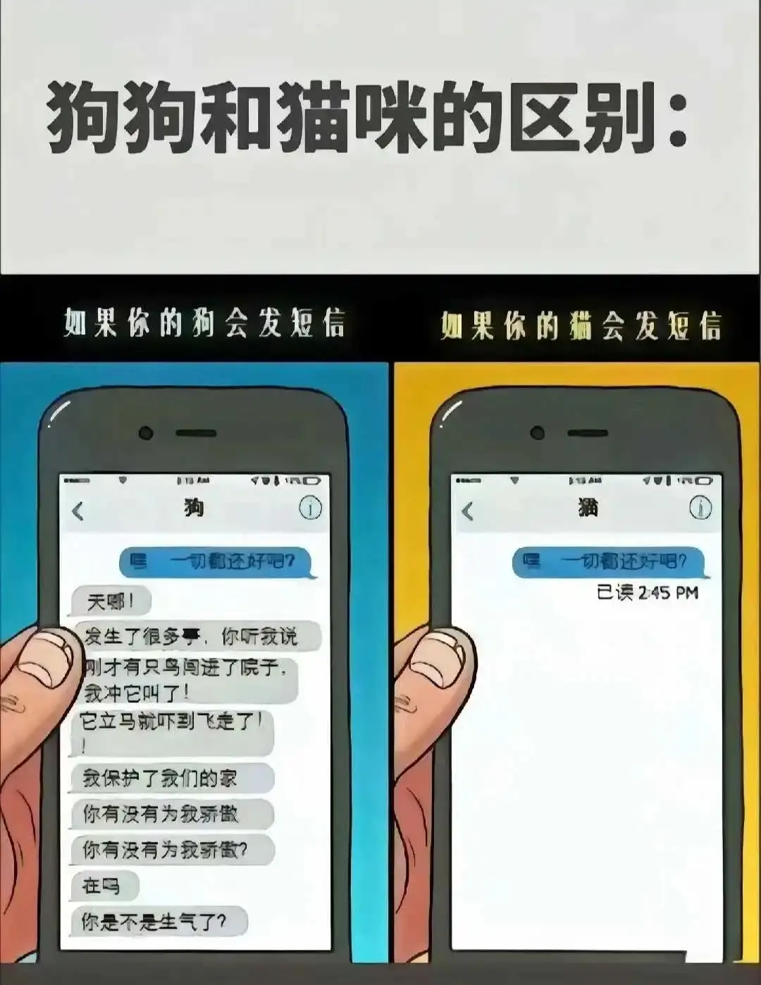 西檬之家-K9犬系是什么？字母圈新人入圈指南