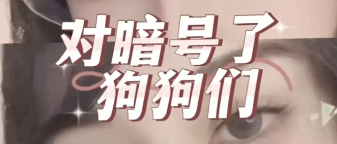 西檬之家-DT是什么？BDSM中的脏话艺术指南